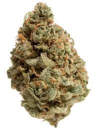Blueberry Cookies
