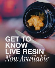 Bubble Bath Live Sugar 1g - Fade Co.