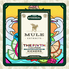 Mule Extracts | Tropical Punch THE FIVTH | 5:5:5:5:1 THC:CBD:CBN:CBG:CBC | Gummies | 2pk | 100mg