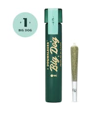 Big Dogs-IX | Dogwalkers | Animal Scout | 0.75g-Indica - 23.00