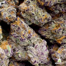 Silver Shelf - Silver Mountain (S)