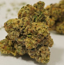 OG Mojito | High Supply | 3.5g