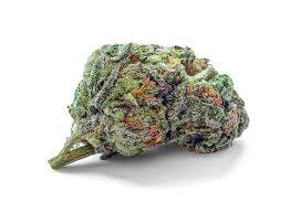 Silver Lake | Bud | FPOG (H)