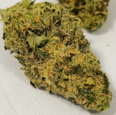 Bosscotti | In House | Buds | 7g