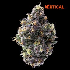 VERTICAL - GELATO 33 14G HYBRID