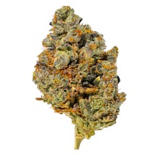 Premier Tier - Glacier Freeze