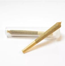 Pre Roll | MF | Amnesia 0.7G | Sativa-Hybrid