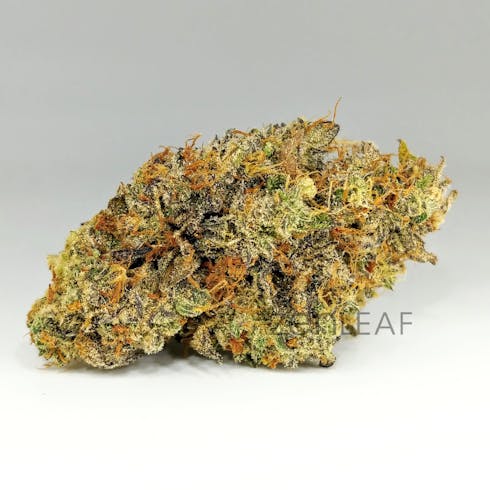 Pink Lemonade
