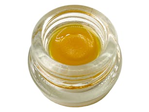 LIVE BUDDER: Stonefly Haze
