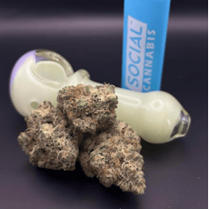 Gold Shelf - Cake Crasher (S)