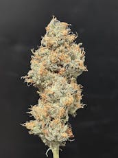 Flower: Tahiti Twist