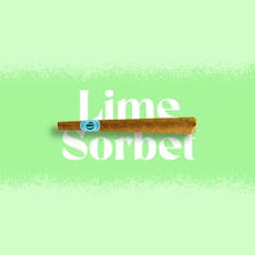 1g Lime Sorbet Doinks Pre-Rolled Infused Blunt Lime Sorbet