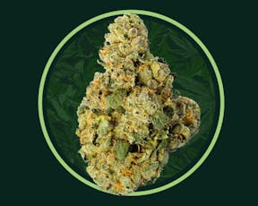 Foreign Kush Mints | Popcorn