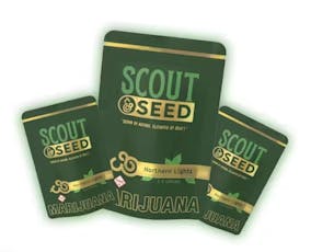 Scout & Seed: Flower | Gelato 41 | 14g