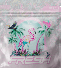 B-Witched - Flower 3.5