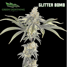Glitter Bomb 7g
