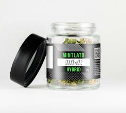 Mintlato - Flower 3.5g