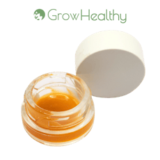 Strawberry Haze Live Sauce 1.0 g