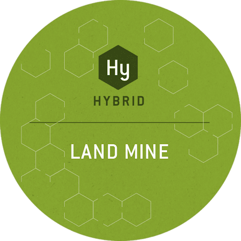 Land Mine