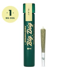 Dogwalkers Big Dog - Frozen Margarita - Infused Pre-Roll - 1g
