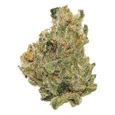 Smoke-Rite - 24 - Sasquatch | Eighths