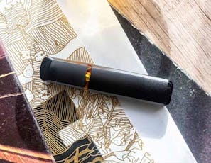 Apricot Nector - Disposable Pen - 2g