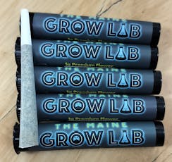 1g South Beach Preroll - Maine Grow Lab