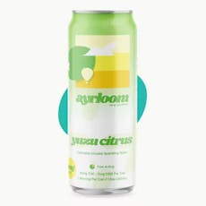 Ayrloom | Single | Yuzu Citrus | 10mg