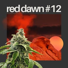 Red Dawn #12 (7g)
