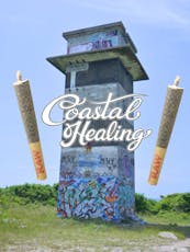 Chow Mein 0.5g preroll