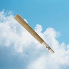 Verano | Rotten Teeth | Long Lifts | Pre-Roll | 1g