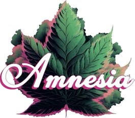 OG Kush x Rainbow Belts Liquid Diamond Disposable