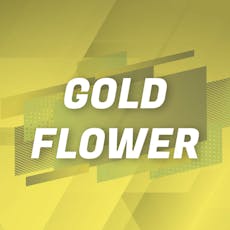 Gold Shelf - RS-11 (I)