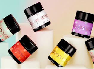 Flower: Cement Shoes