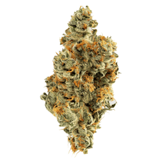 Pure Industries Lilac Diesel | 3.5g