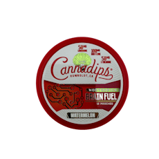 Brain Fuel Watermelon - 15 Pouches - CBD626