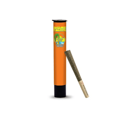 Orange Oasis Infused Preroll 5pk (.5g)