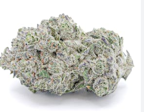 Ice Cream Cake - 464 - 7g