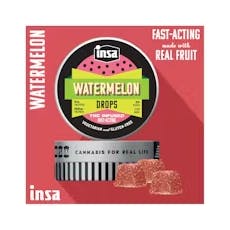 Insa Fruit Chews 20pk (100mg) Watermelon