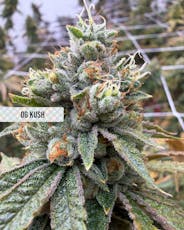 Wonderbrett | OG Kush | .7g Pre-Roll