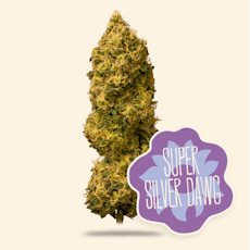 Super Silver Dawg | 14G | UNTRIMMED SMALLS