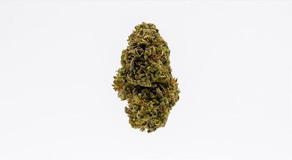 East Fork Cultivars Sungrown 1:1 ACDC