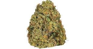 STIIIZY | STIIIZY OG POPCORN 28g