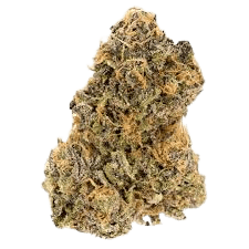 Malibu's Most Wanted Flower by Elysium