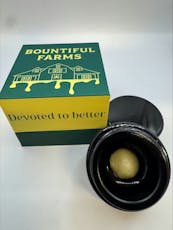 Live Rosin | Peach Pie + Refined Taste