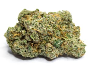 Popcorn Shelf - DNA Cake (I)