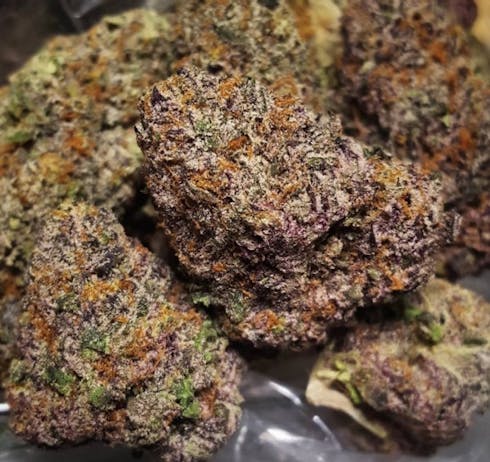 Purple Gelato