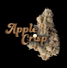 Apple Crisp | Flower | 3.5g