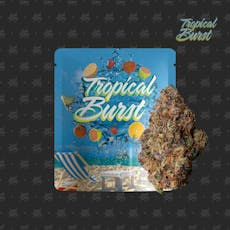 Seed Junky | Tropical Burst - 3.5g Flower