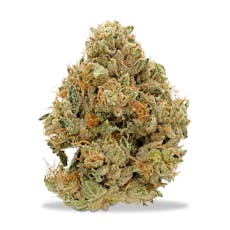 Archive - Sour Best Shit Ever